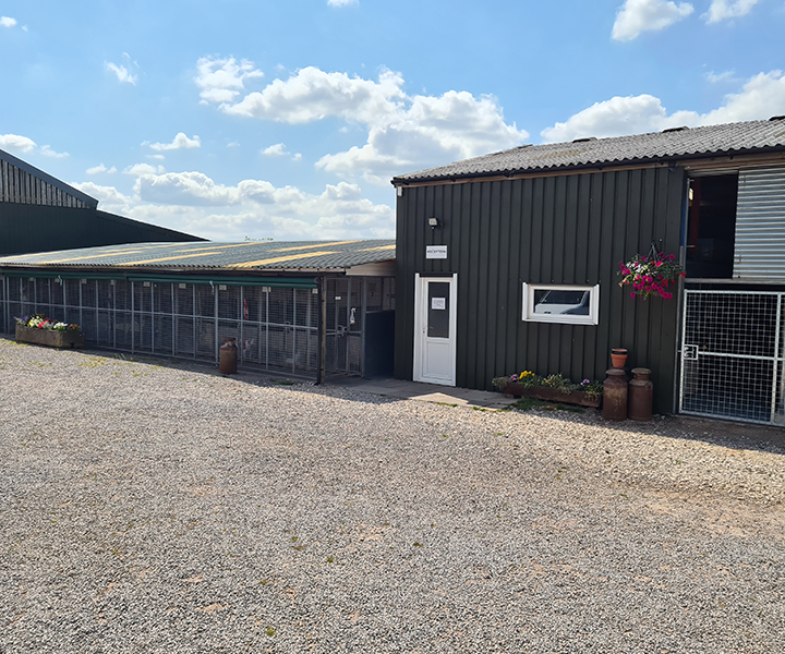 Oaklands-Boarding-Kenels-Boarding-Kennels-Gallery-10