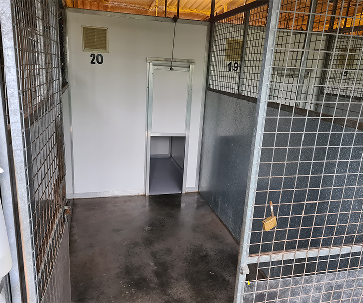 Oaklands-Boarding-Kenels-Boarding-Kennels-Gallery-12
