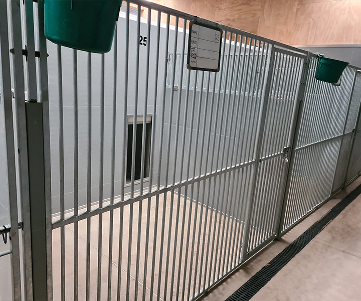 Oaklands-Boarding-Kenels-Boarding-Kennels-Gallery-15